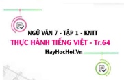 Soạn bài Thực hành tiếng Việt trang 64 lớp 7 Kết nối tri thức tập 1